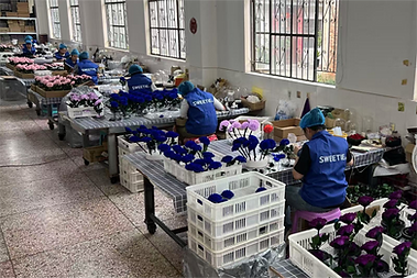 preserved flower factory 8.png