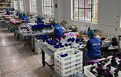 preserved flower factory 8.png