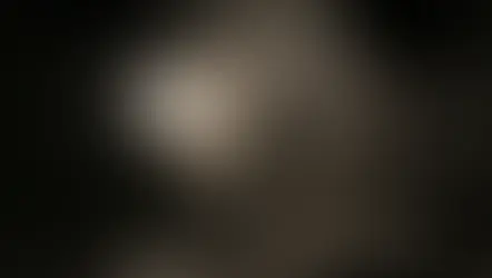 Sürekli Işık mı Paraflaş mı? Profesyonel Fotoğrafçılıkta Işığın Gerçek Kontrolü