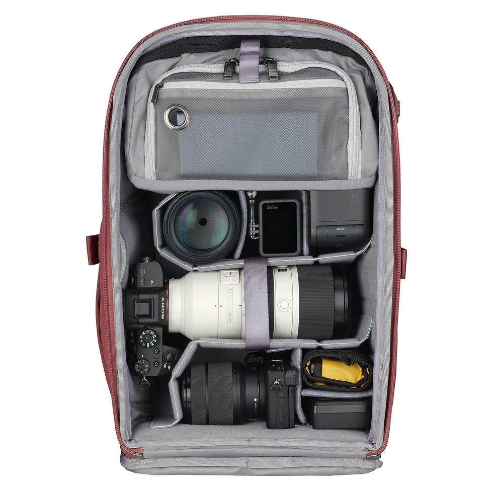 Küçük resim: Vanguard Veo Metro B25L MG Bordo 25L Fotoğraf Makinesi Sırt Çantası
