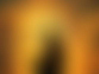 Understanding the Law of Prosperity