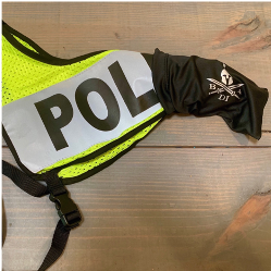 Thumbnail: Police - Rapid Response Vest (RRV)