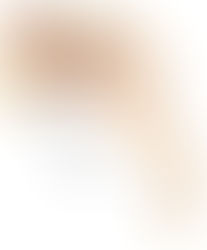 Bladder Stones in Dogs: Part 1 of 2