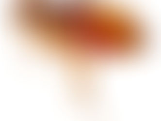 Oh No! Could it be Fleas?