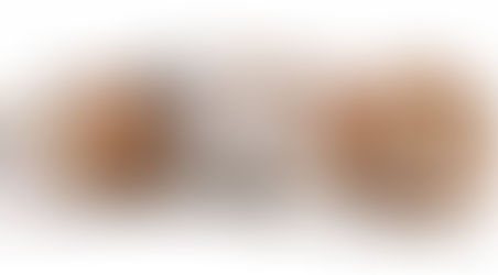 Guinea Pigs Make Great Pets