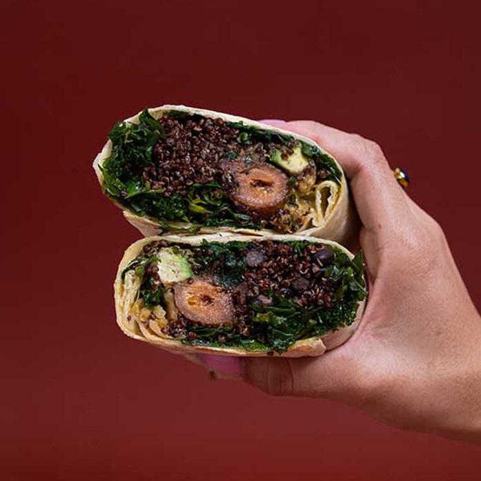 earthie-picks-new-age-burrito-hand.jpg