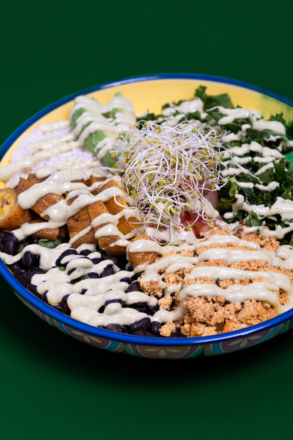 Gluten-free latin bowl from Earthy Picks Restaurant in Downtown Orlando, FL