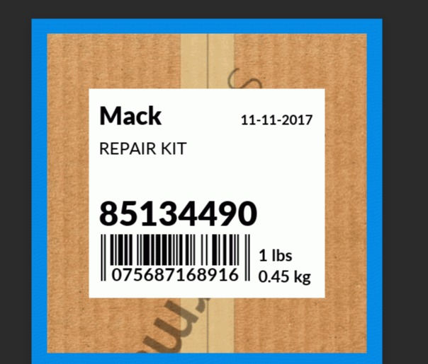 FAN CLUTCH REPAIR KIT 85134490