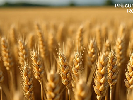 Durum Wheat Price Trend and Market Analysis