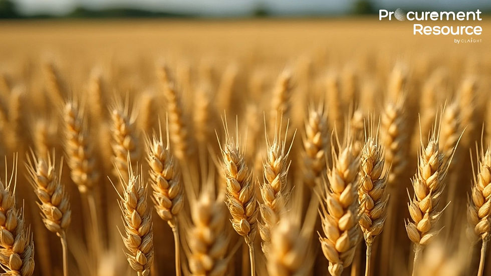 Durum Wheat Price Trend