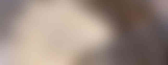 Dry Ingredients for carrot muffin gluten free brown rice flour