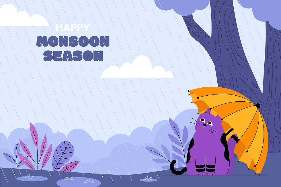 cat in rainy season