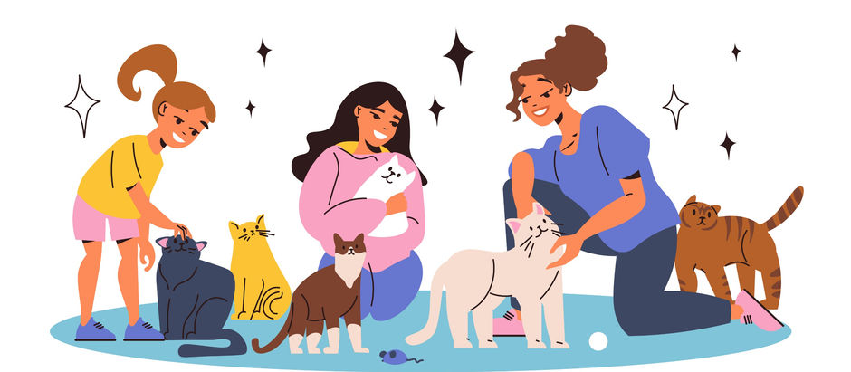 How to Celebrate Holi with Your Pets: Tips for a Colorful and Safe Celebration!