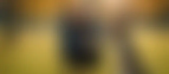 How to train a dog