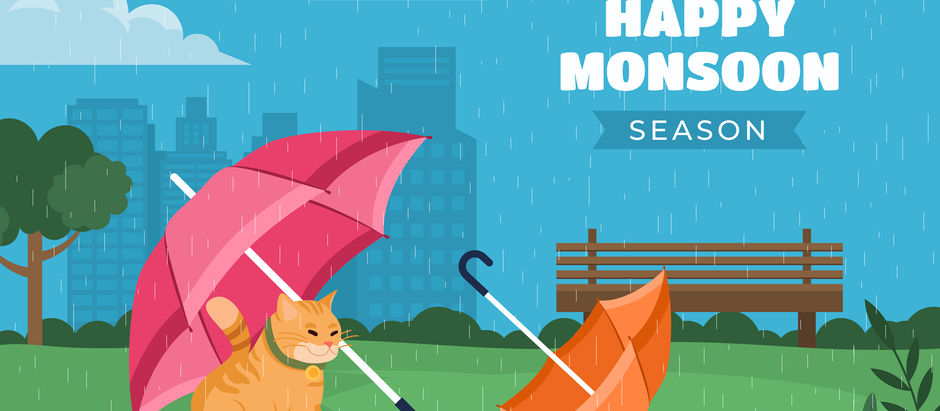 How to take care of your pet in rainy season