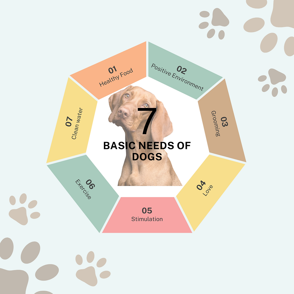 7 essential needs of dogs