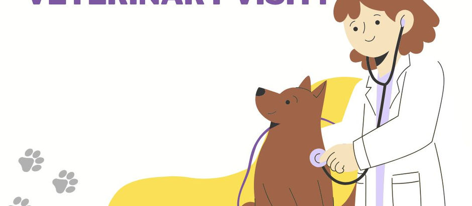 How Frequently Should I Schedule Veterinary Check-ups for My Dog