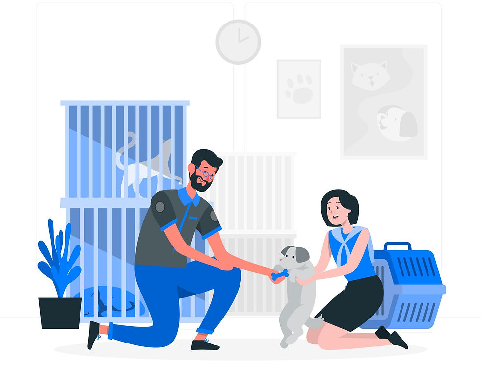 taking care of dog as a beginner