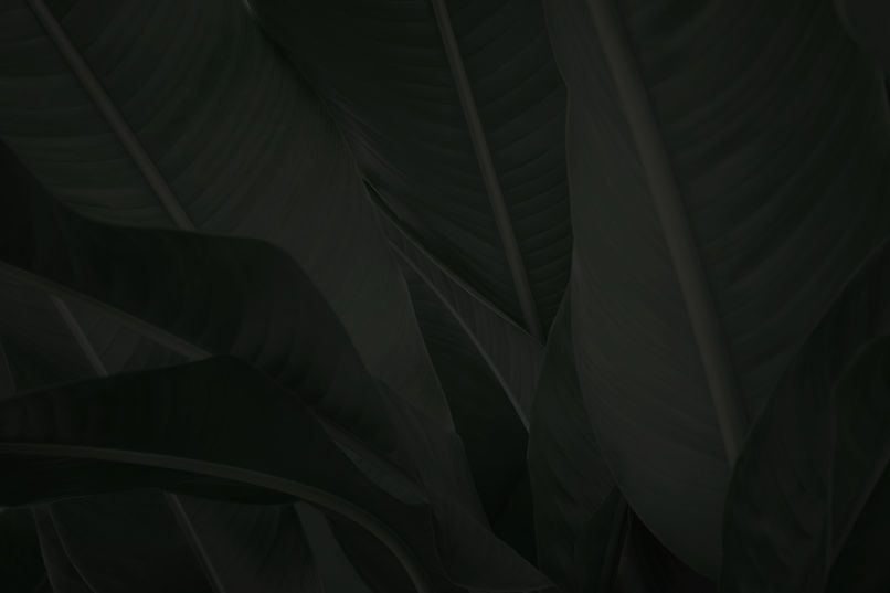 Lush Green Leaves_edited_edited_edited.jpg