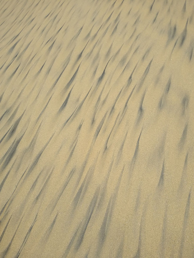 Cerritos beach sand.jpg