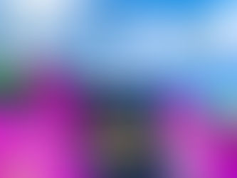 1 of 4 solo travel must-have Glycelene skincare products!