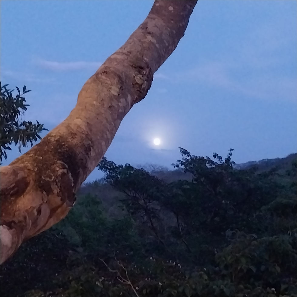 Nicaragua moon.jpg