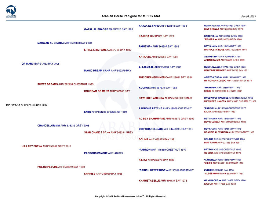 MP Riyana Pedigree.jpg