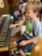 Organ introduction