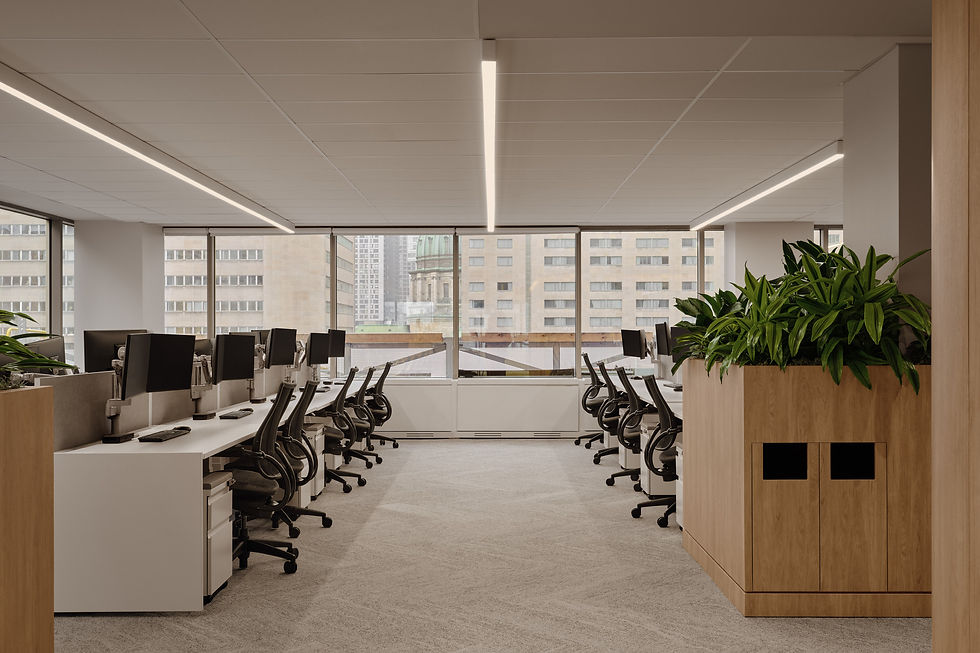 CASO by Dot.Architecture, Built by Manovra, Photo Copyright Alex Lesage 19.jpg