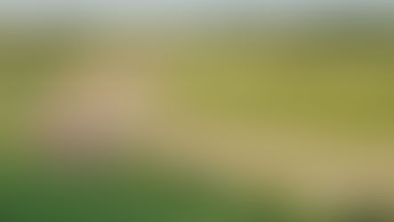 Who KNEW That Lawnmowers Could Race This Fast! Super Weekend Family Fun!