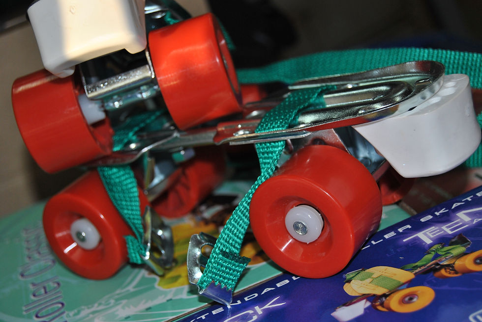 Miniatura: Patines Extensibles Leccese varios modelos