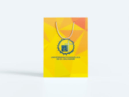 Bolsas corporativas y promocionales