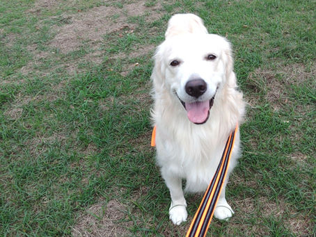 かわいいおっきいさん②