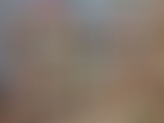 いぬ・ねこ・にんげんフェスタ行ってきました🐕🐈👩