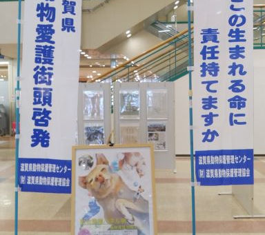 パネル展、行ってきました🐶🐱