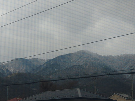 再びの緊急訪問でした🐈