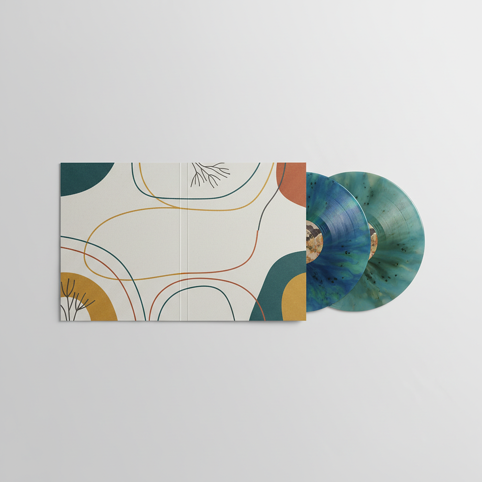 Jazzy Sounds Vinyl