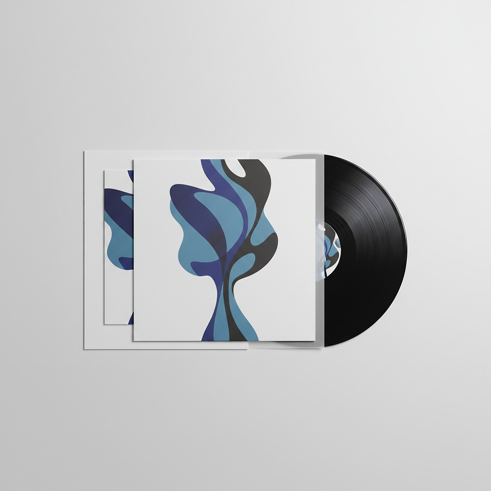 Debut Album Vinyl