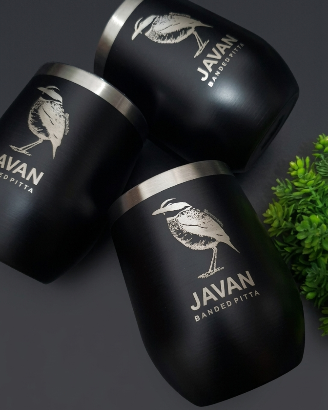 Javan Banded Pitta Tumbler