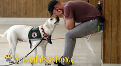 Special Assistance_edited