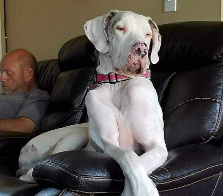 Sugar Melchiorre.jpeg