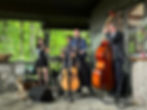 Darren Nicholson Band Plays Bluegrass Music at a Wedding