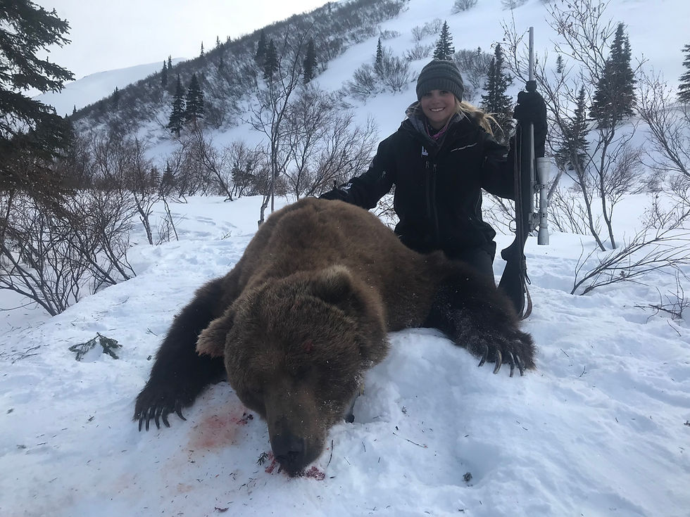Grizzly alaskakoyukukguides