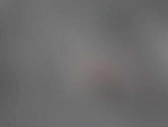 Barred owl perched on bare branches, with a patterned brown and white plumage, set against a gray, blurred background.