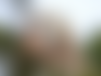 Barn owl with a speckled pattern holds a small rodent in its beak, against a blurred, natural background.