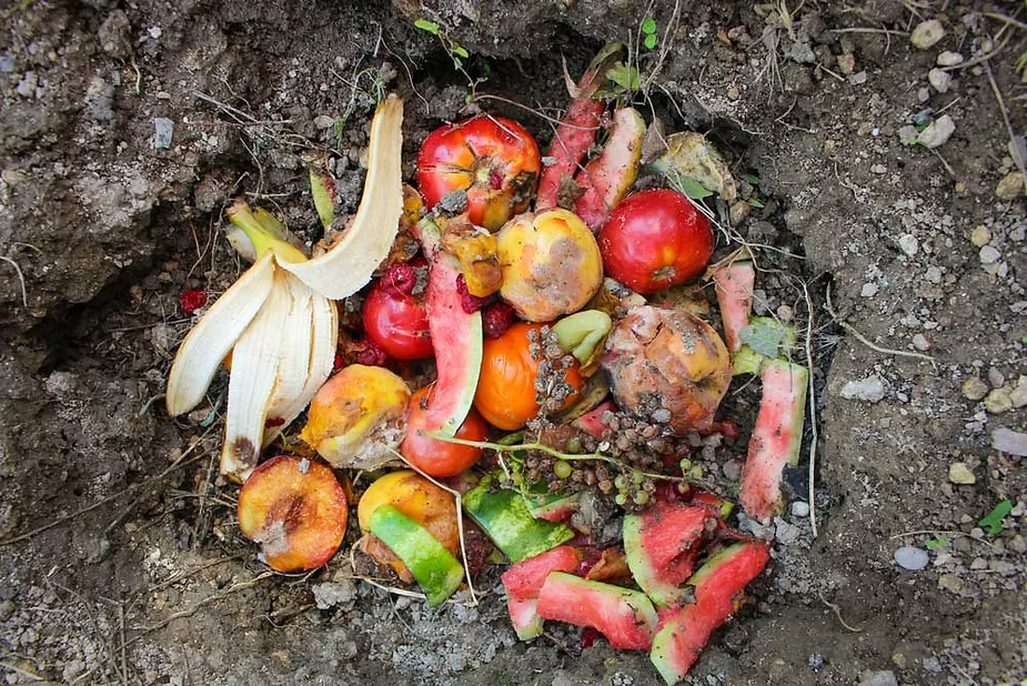 Rotting fruits including peaches, apples, watermelon, and a banana peel in a compost pit. Vibrant colors and textures against soil background. Earthy and organic setting.