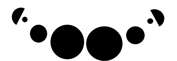 Black and white circles and semicircles illustrating the eye arrangement of a jumping spider