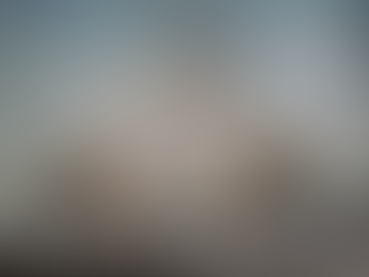 Two mourning doves perched on a branch, facing each other. Soft brown and gray feathers blend with a blurred natural background, evoking calmness.