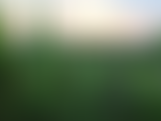 Close-up of dewy grass with a vibrant sunrise in the background, casting warm light over the greenery, creating a serene morning mood.