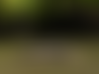 6 turtles cluster to bask on a log in a serene pond, surrounded by lush green foliage. The scene exudes tranquility and natural beauty.